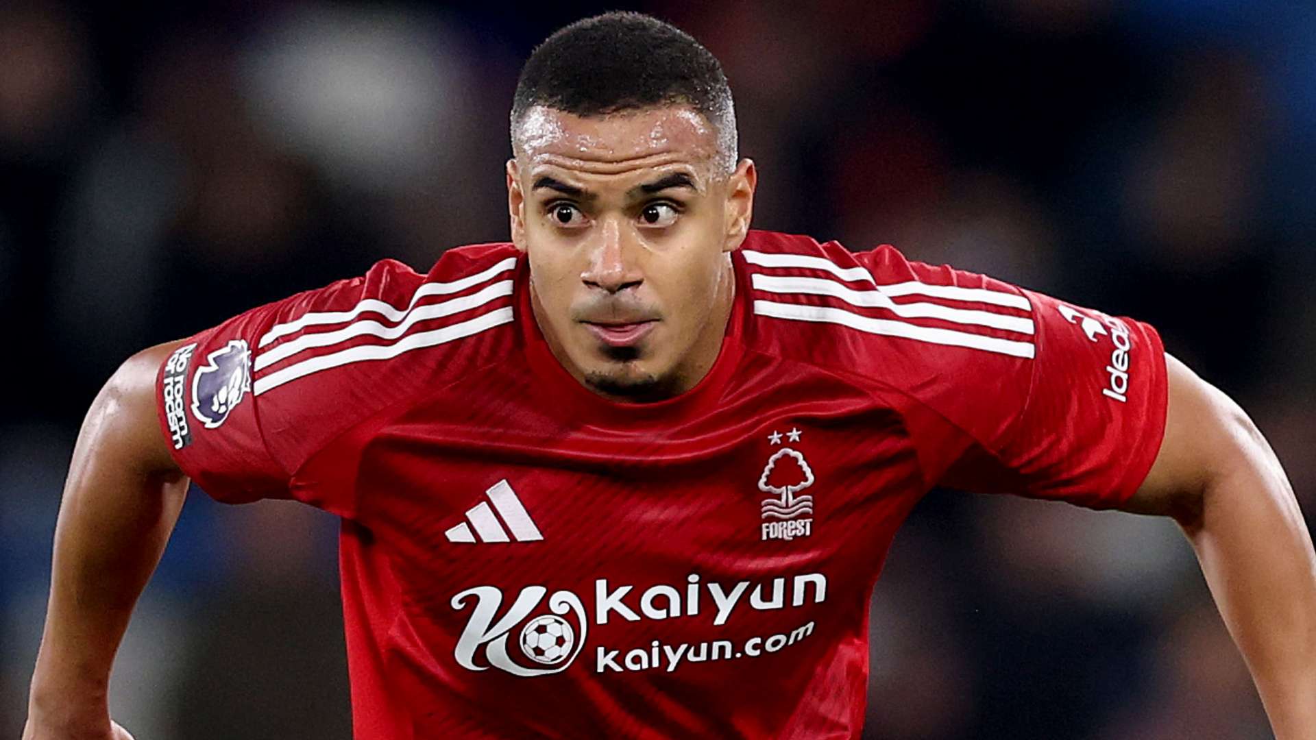 过快速的反 过快速的反