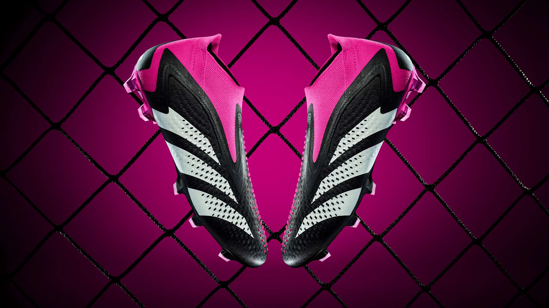 媒体上纷纷 媒体上纷纷