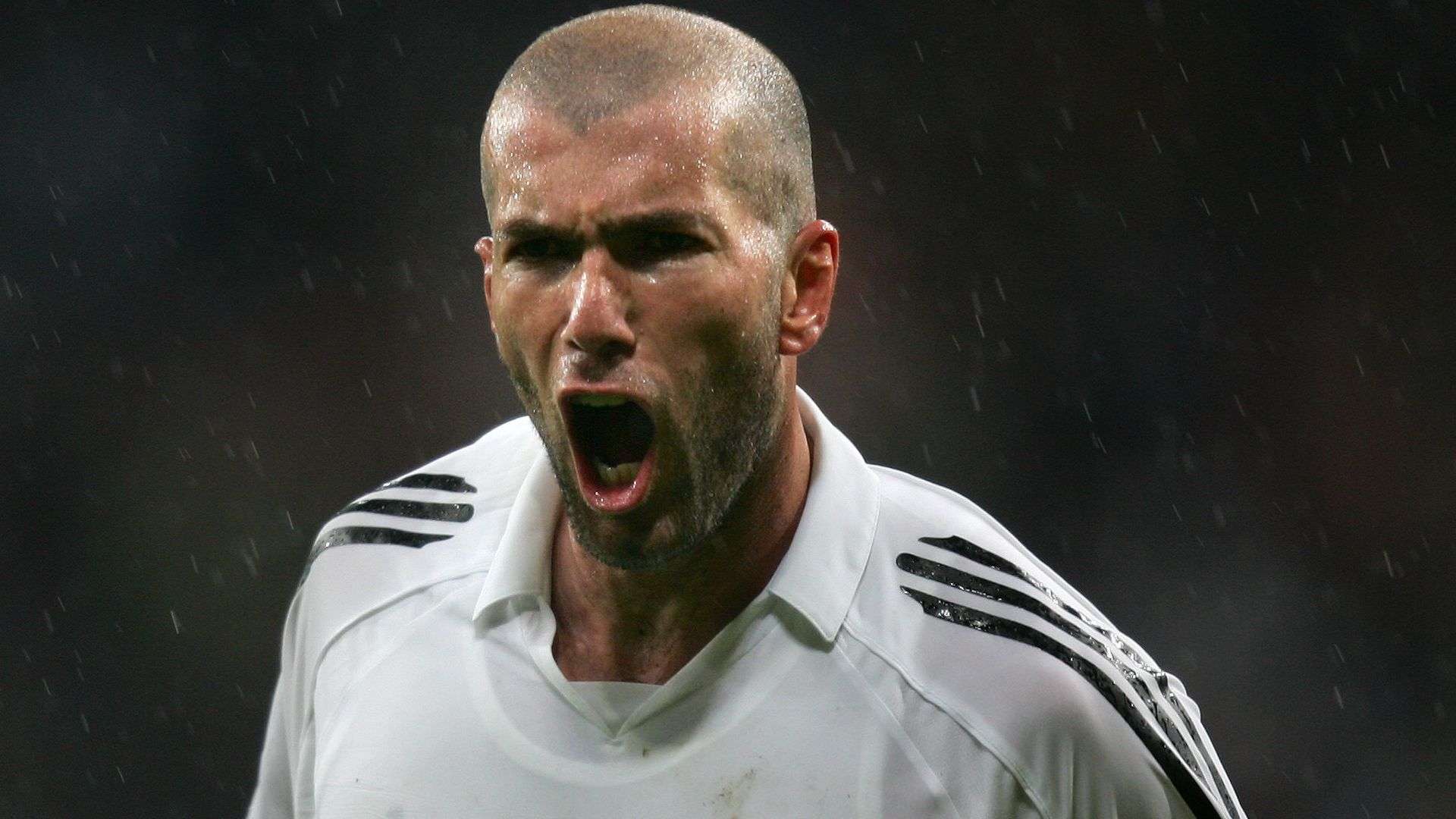 他精確地 他精確地